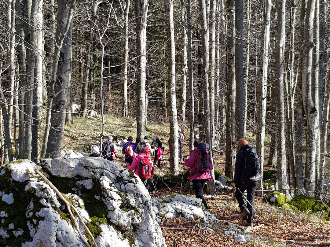 Ucka Nature Park-洛夫兰必去景点
