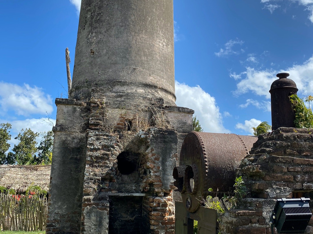Las Ruinas De Un Ingenio, Santa Isabel景点图片