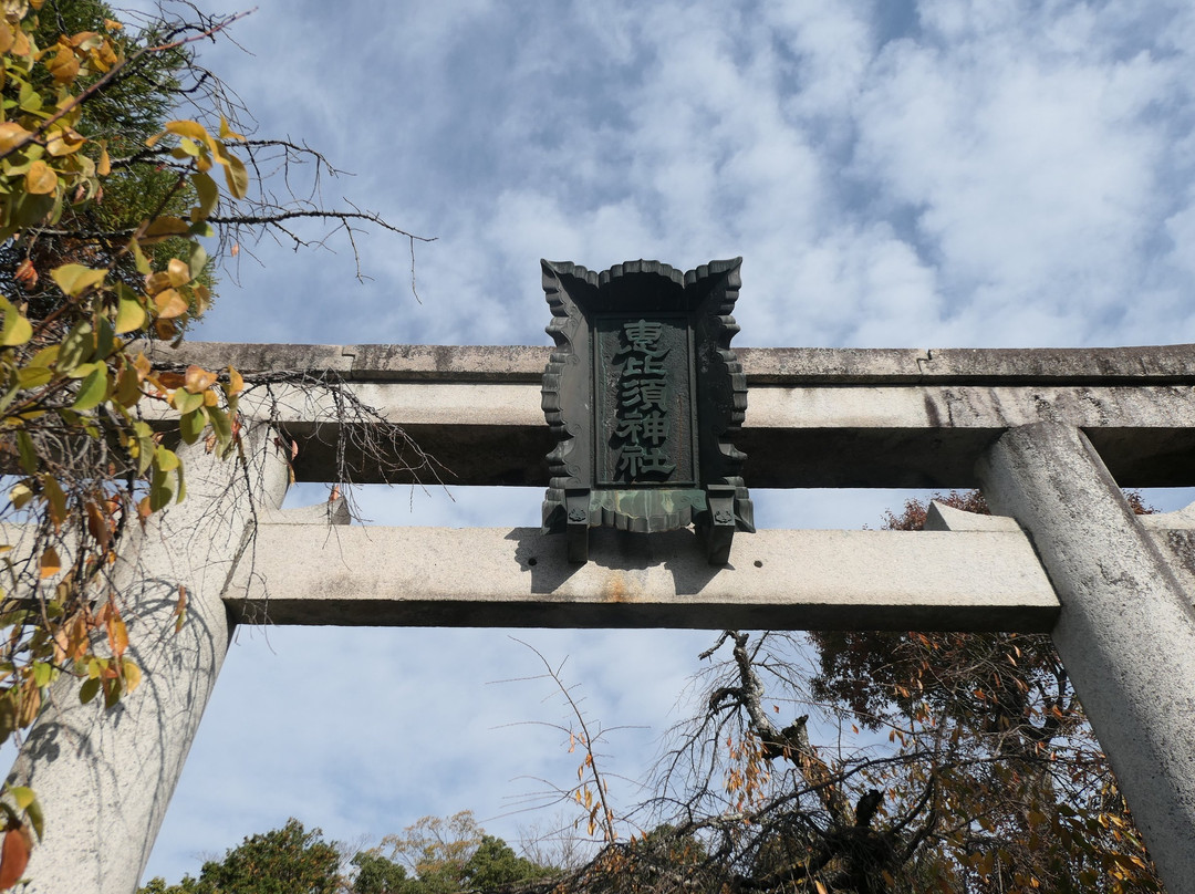 Ebisu Shrine-樱井市必去景点