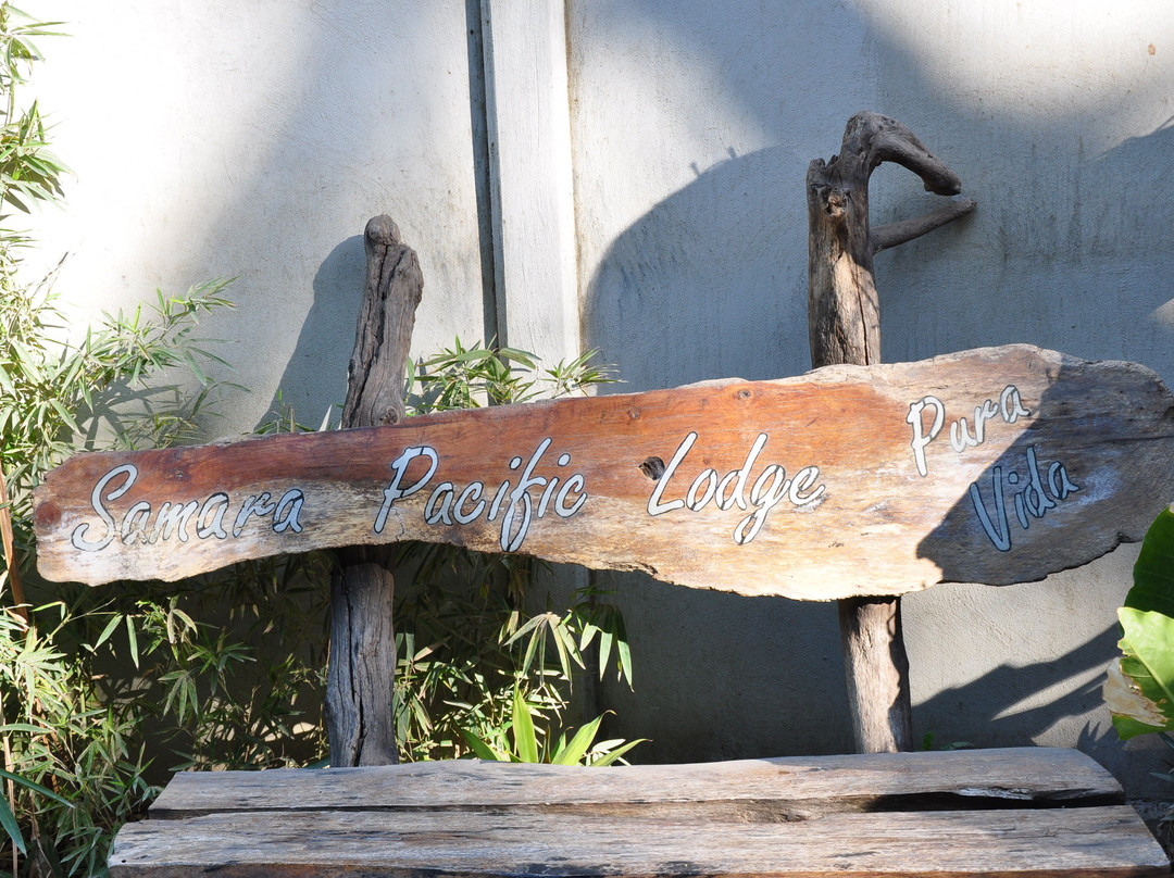 Hotel Samara Pacific Lodge主图