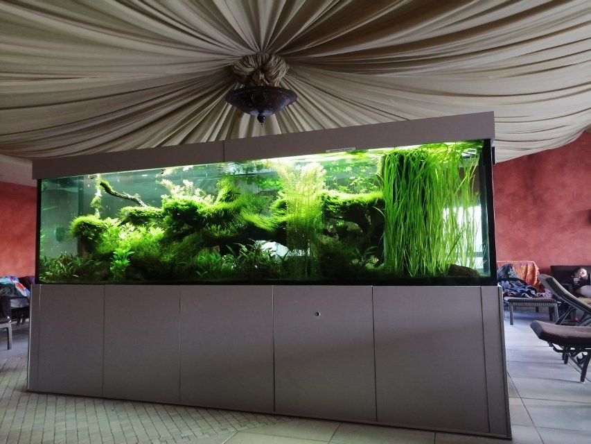 Sportmuehle Hilden-希尔登必去景点