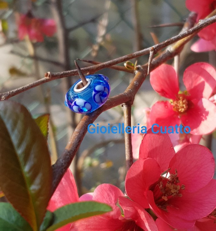 Gioielleria Orologeria Cuatto景点图片