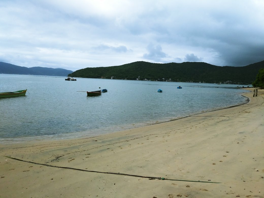 Praia Enseada Do Brito景点图片