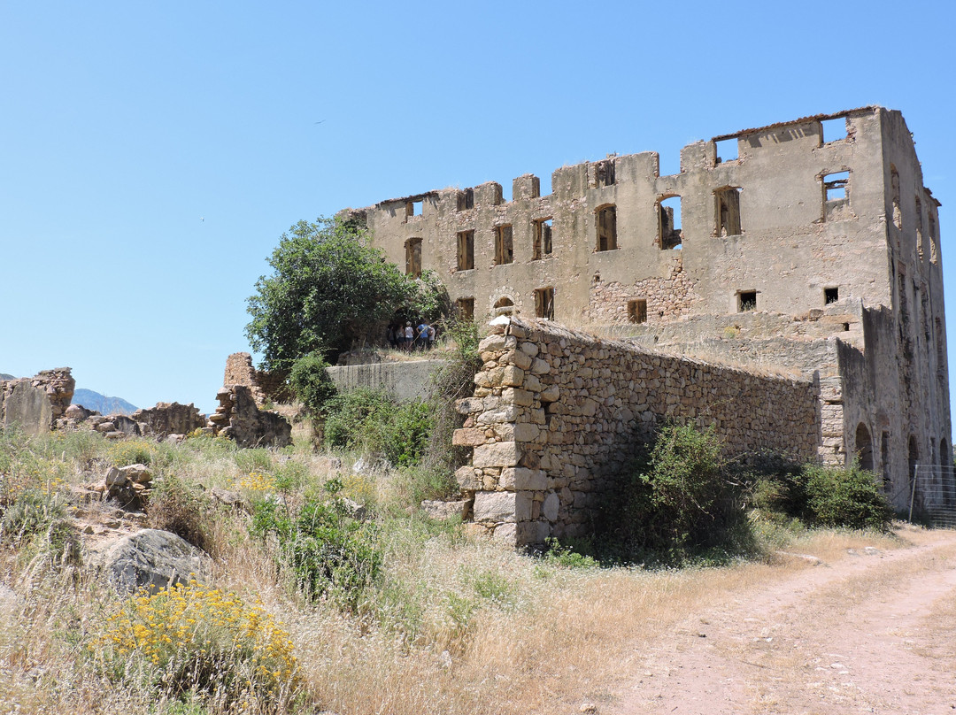 Le Château du Prince Pierre Bonaparte景点图片