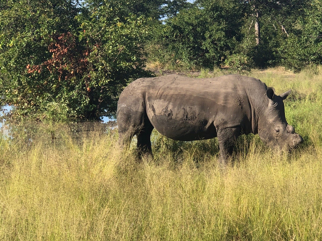 Klaserie Dam-Klaserie Private Game Reserve必去景点
