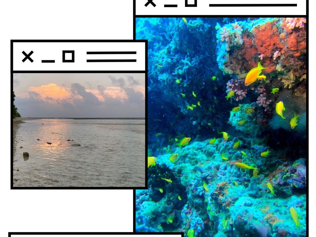 Dive Rasdhoo景点图片