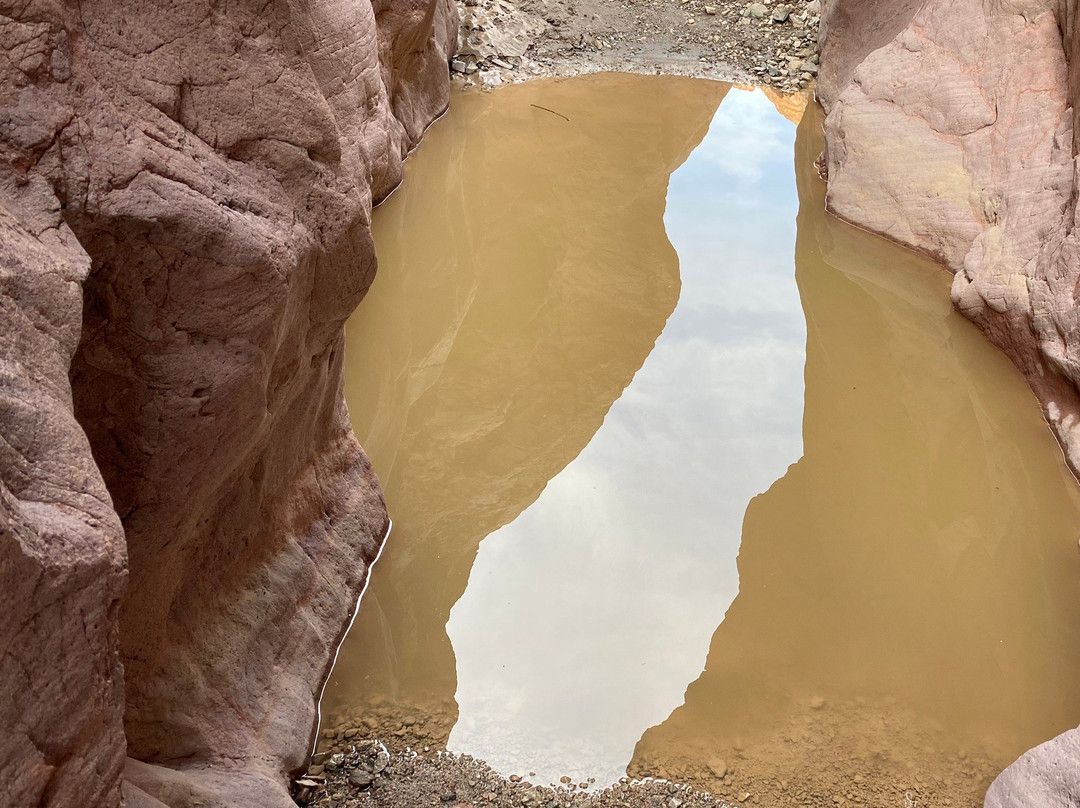 Sara Park-哈瓦苏湖城必去景点