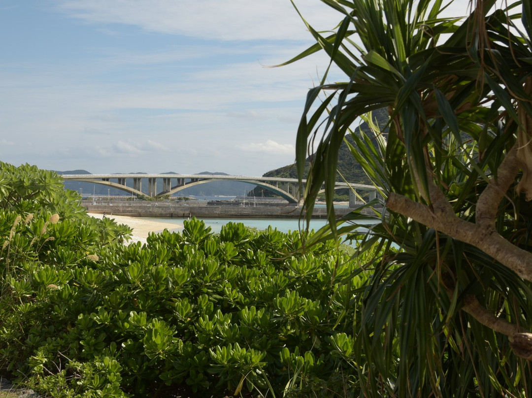 Aka Bridge景点图片