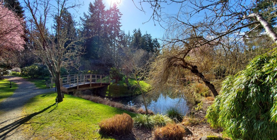 Japanese Garden-Mayne Island必去景点