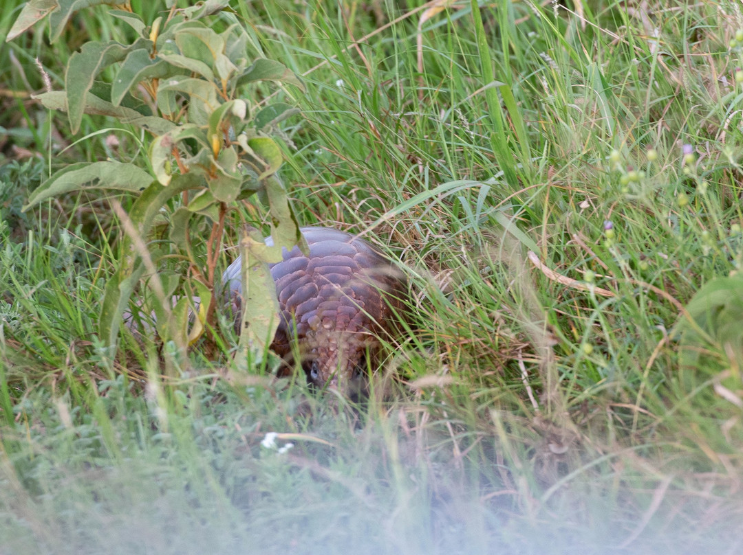 LUMO Community Wildlife Sanctuary景点图片