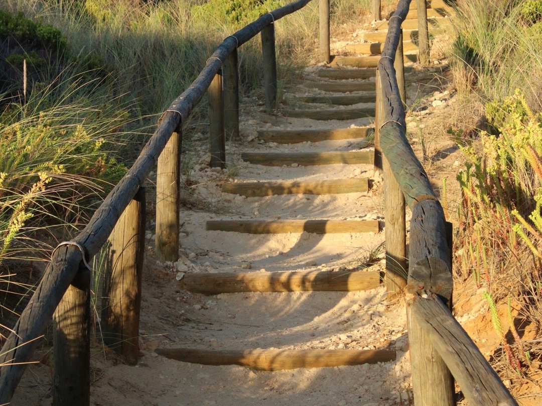Lowlands Beach-Lowlands必去景点