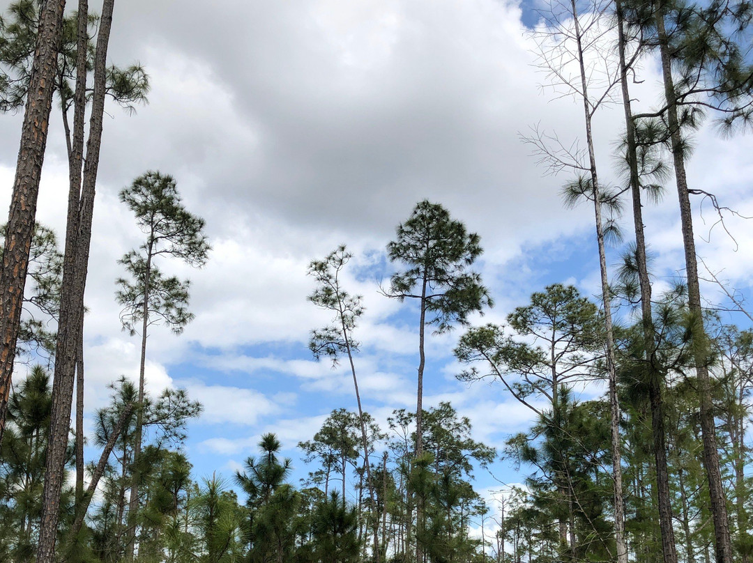 Serenity Walk Park-Naples Park必去景点