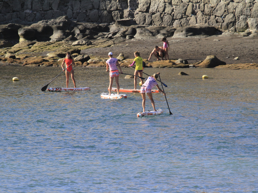 Stand Up Paddle Gran Canaria景点图片