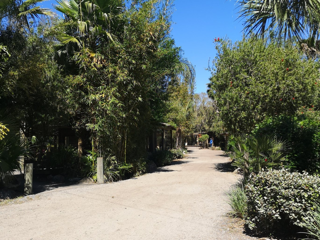 Wild Florida Airboats & Gator Park-Kenansville必去景点