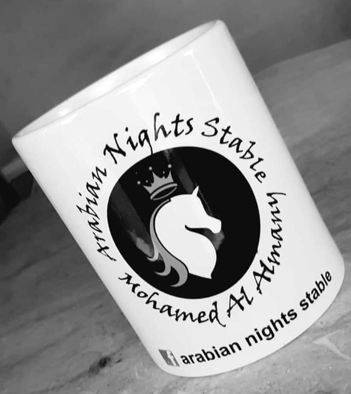 Egypt Horse Ride-赫尔格达必去景点