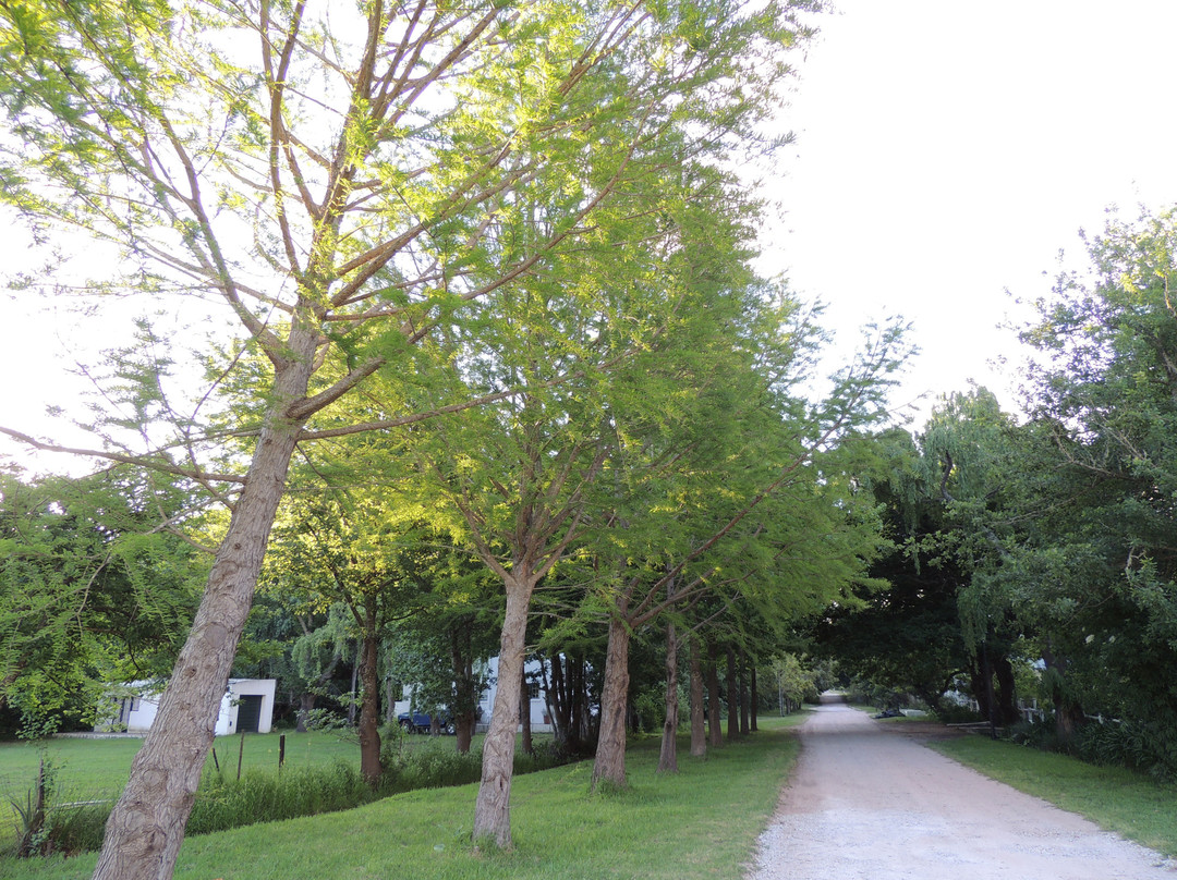 High Hopes Of Greyton主图