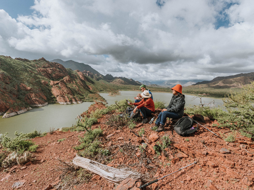 Laguna del Brealito景点图片