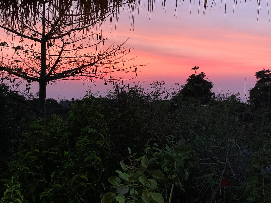 Vagabond Temple-白马必去景点