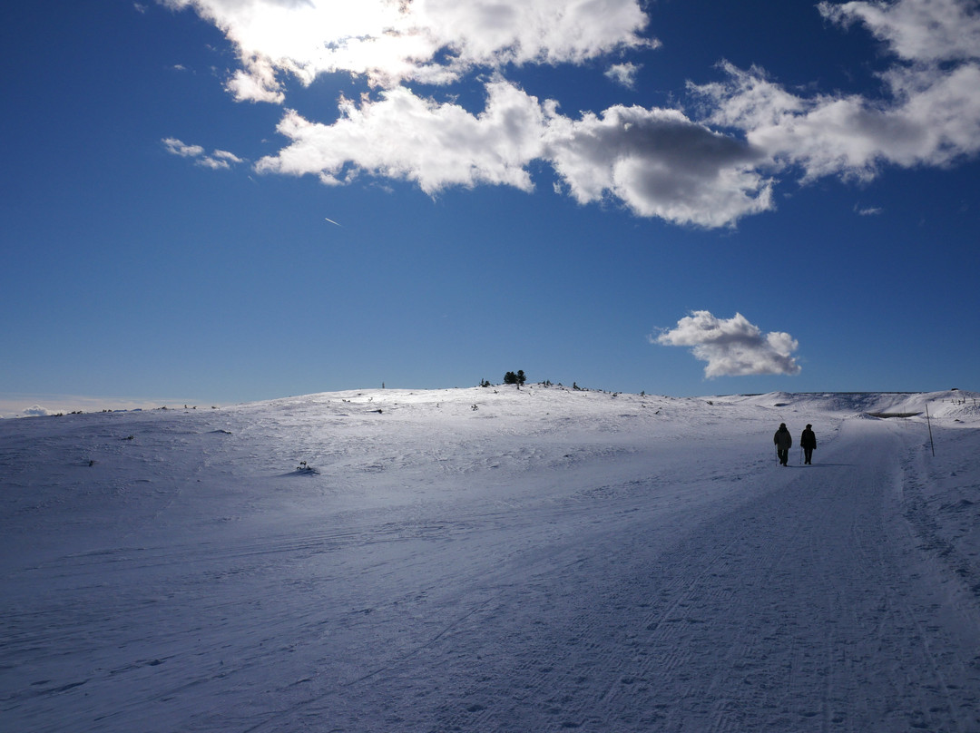 Berghotel Zum Zirm主图