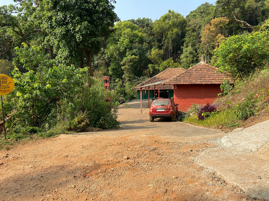 Shishila Hills Jungle Stay主图