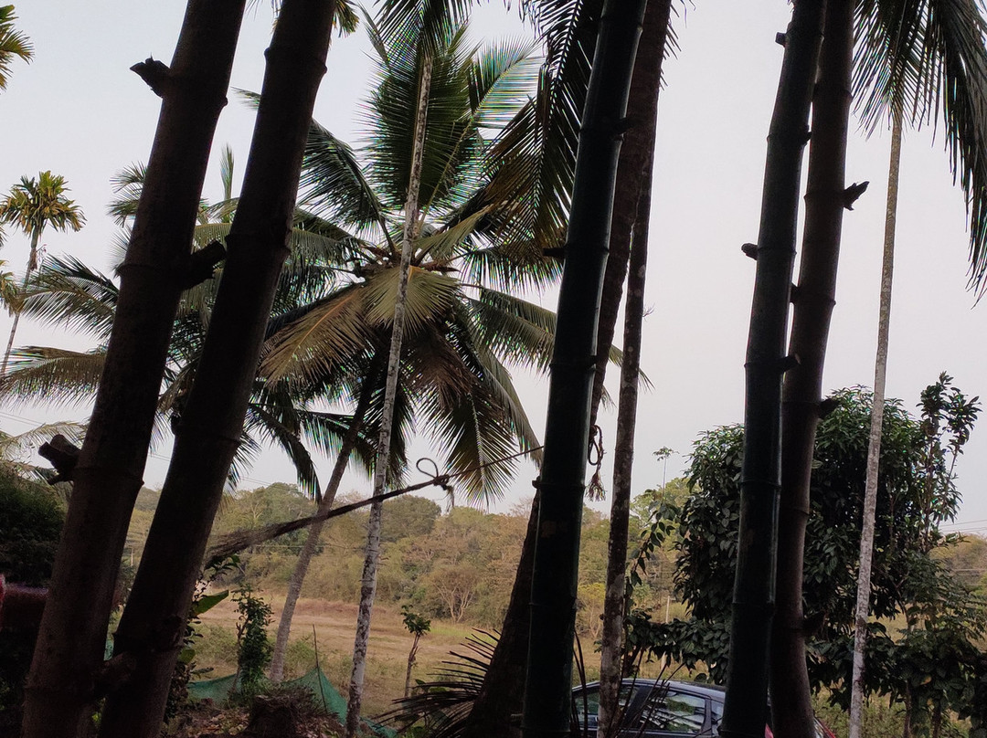 Greenways Treehut & Villas主图