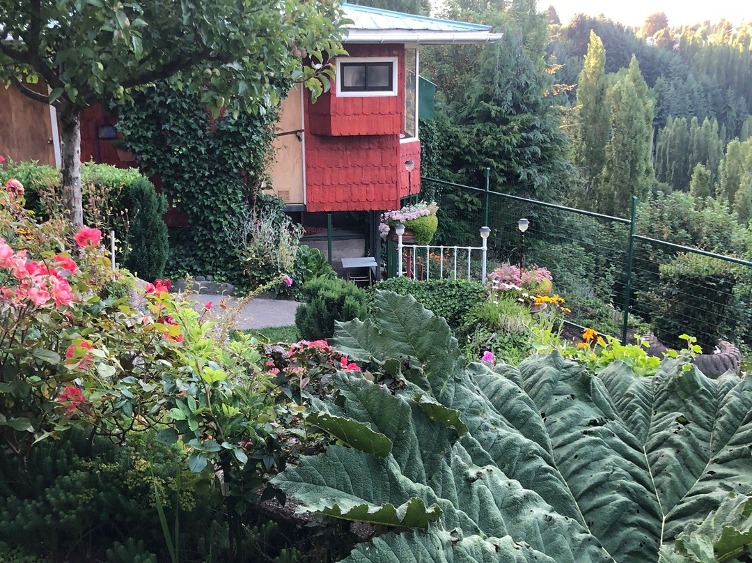 Mirador Cabanas主图