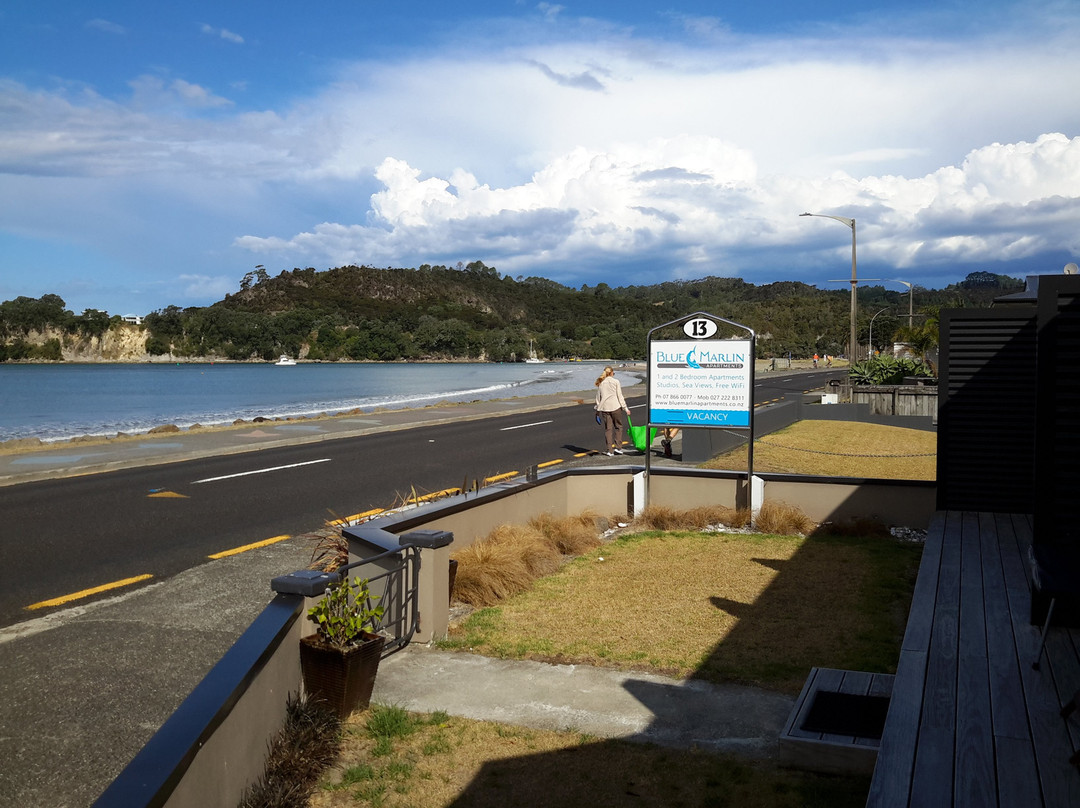 Blue Marlin Apartments主图