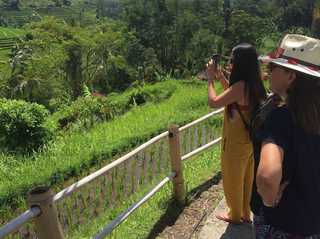 Sidemen Bali Transport景点图片