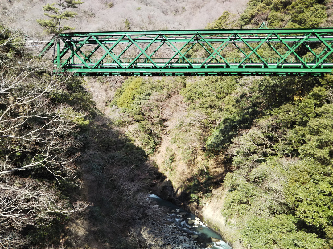 Deyama Railway Bridge景点图片