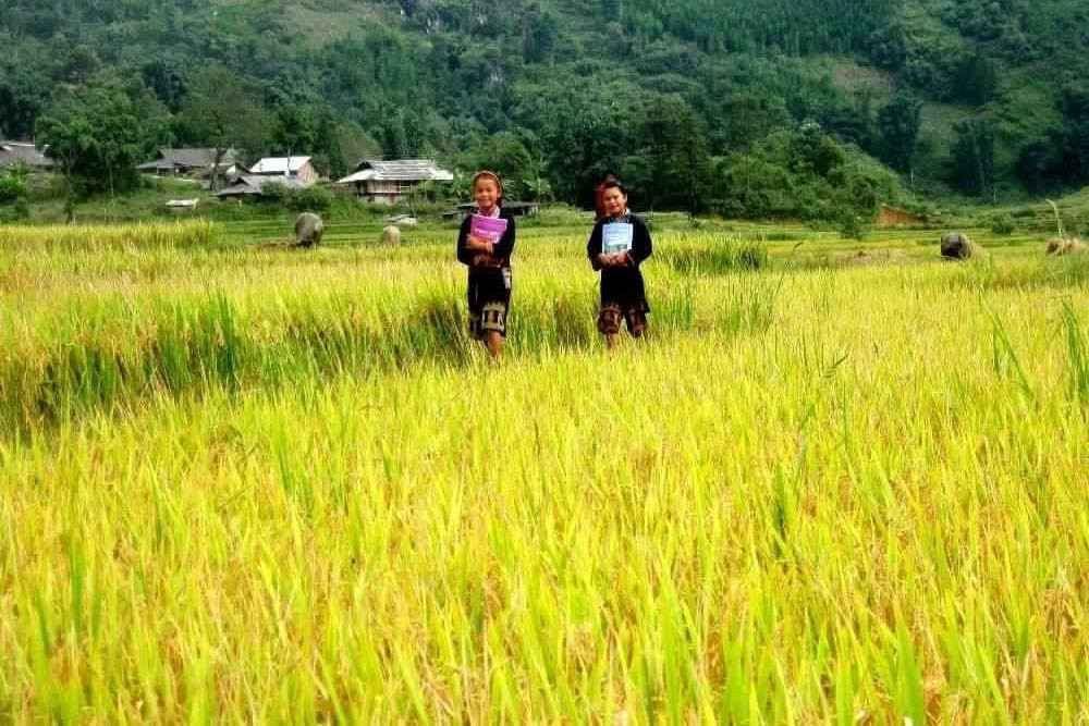 Local Tours ASIA景点图片