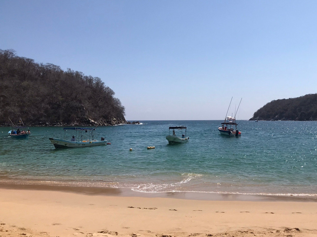 Bahía Maguey y el Órgano-瓦图尔科必去景点