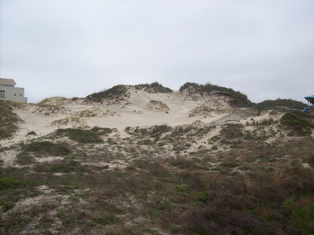 American Beach-阿米莉亚岛必去景点