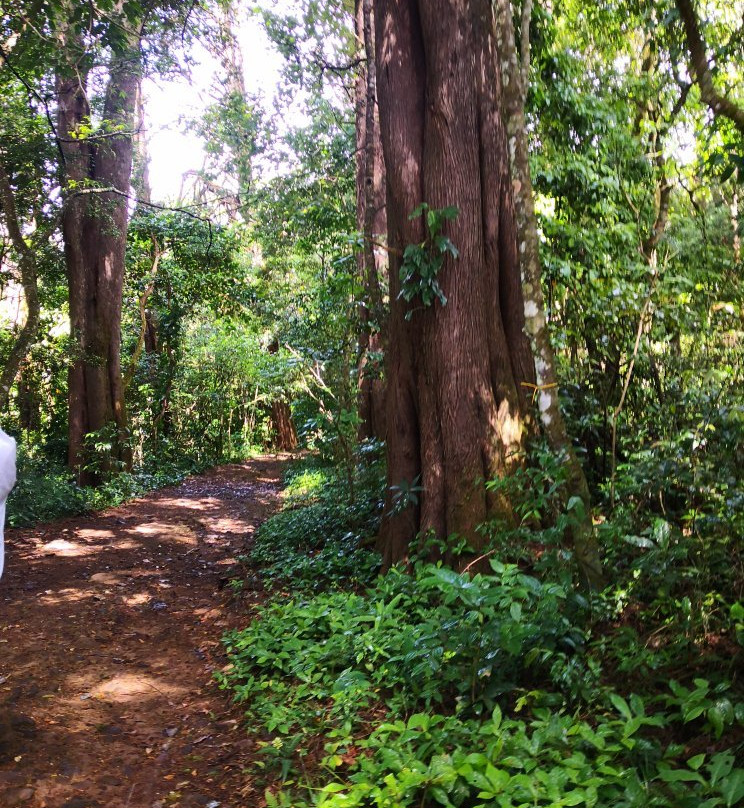 Bosque de la Hoja景点图片