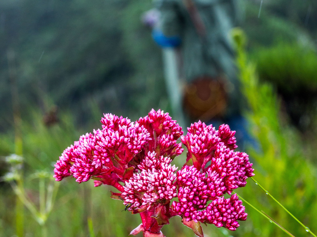 Uyole Cultural Tourism Enterprise-姆贝亚必去景点