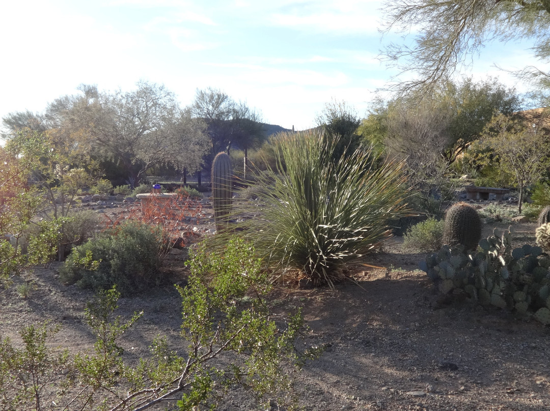 Cat Mountain Lodge & Roadside Inn主图