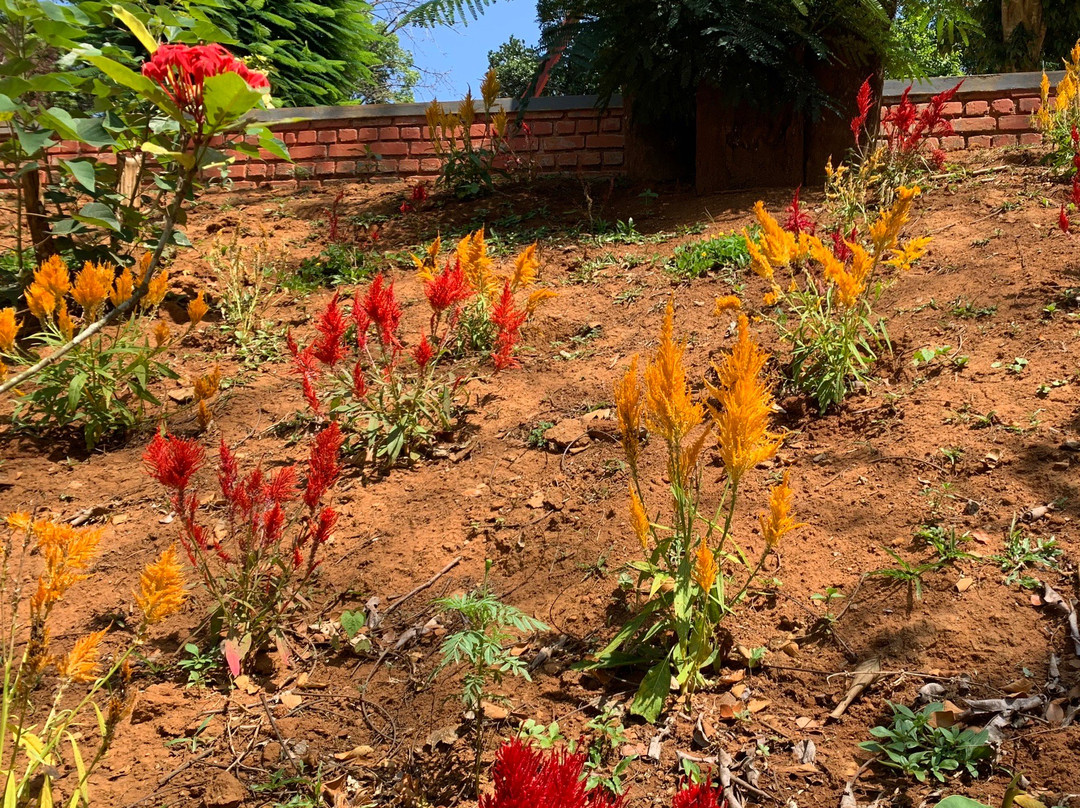 Karlad Lake-Thariyode必去景点