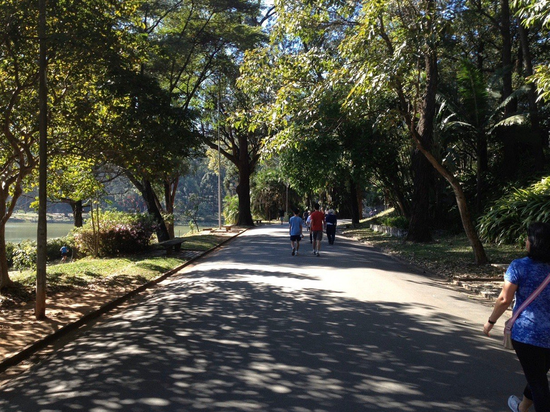 Parque da Aclimação-圣保罗必去景点