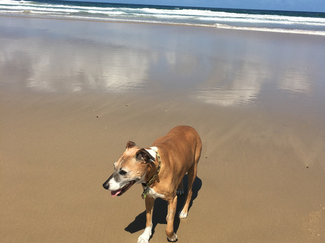 库伦海滩度假村主图