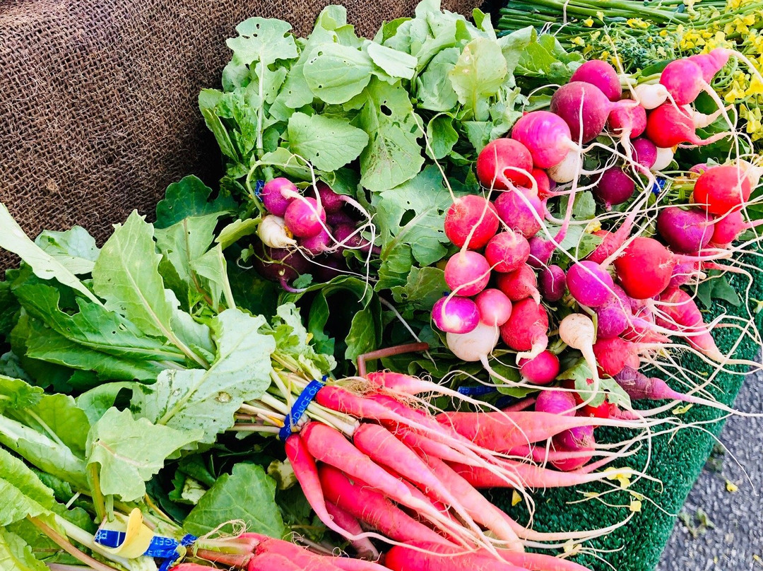 圣莫妮卡农贸市场-圣莫尼卡必去景点