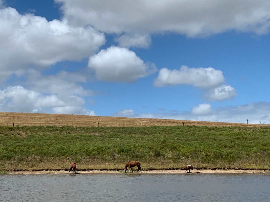 Casa Quetzal Hotel主图