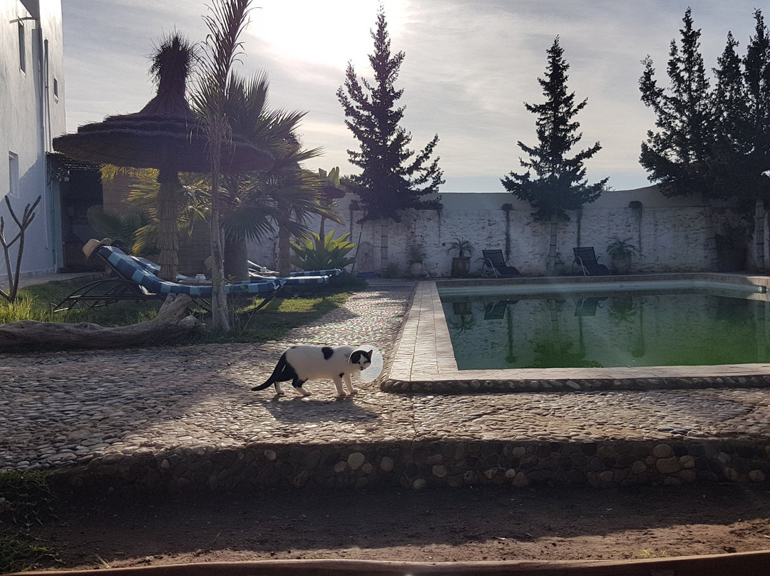 Riad Sanam Essaouira主图