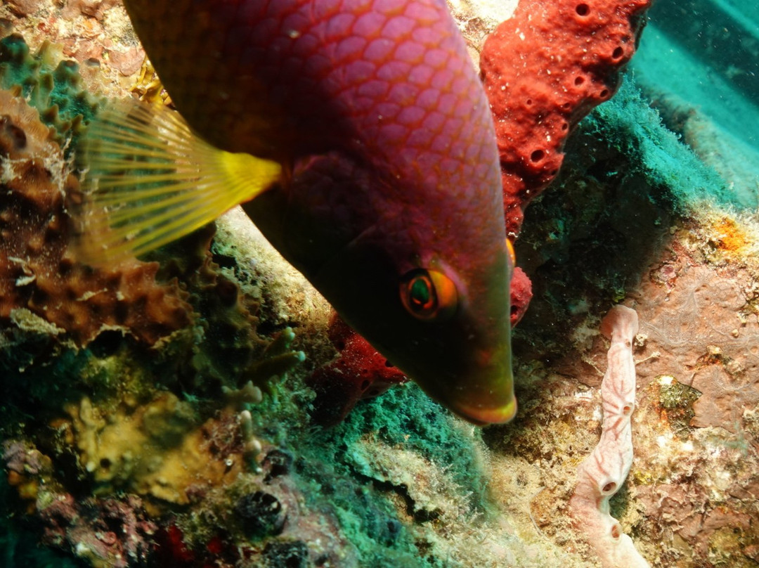 Global Dr Tours-巴瓦罗必去景点