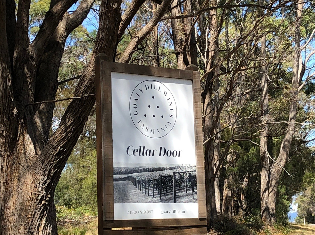 Small Wonder Wines-Kayena必去景点