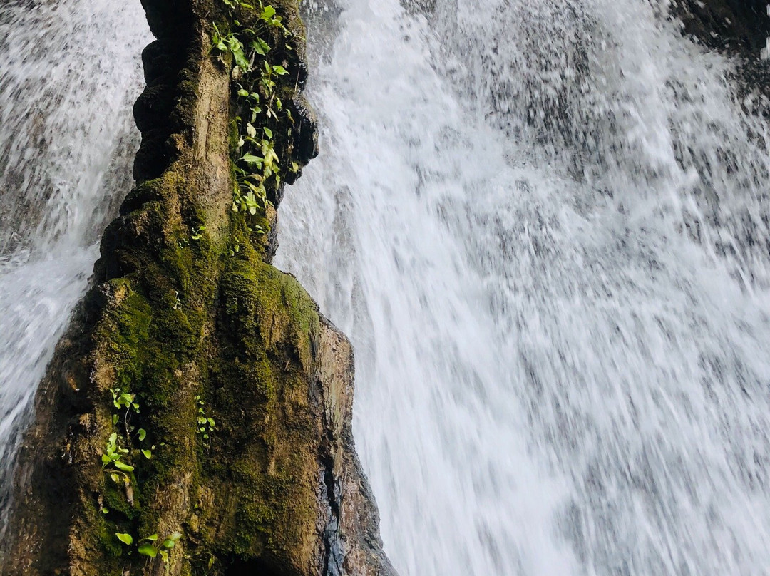 Parque Natural Villaluz-Tapijulapa必去景点