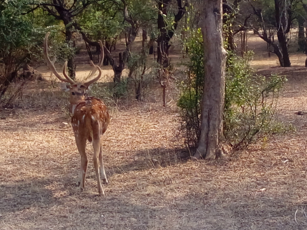 Hotel Castle Jhoomar Baori主图