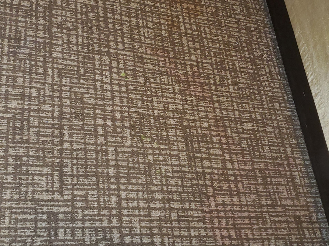 Comfort Inn & Suites主图