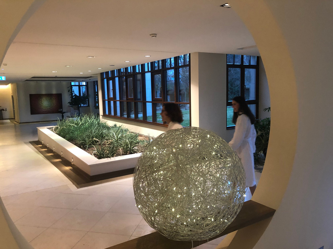 Wald & Schlosshotel Friedrichsruhe主图