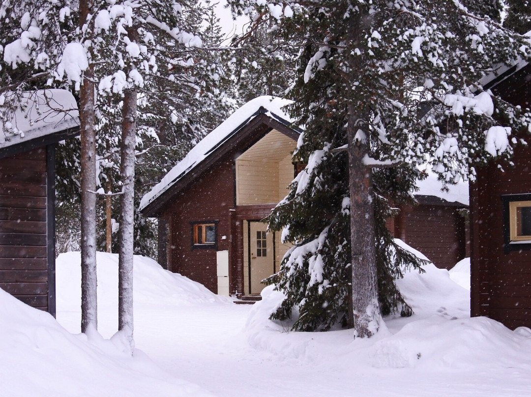 Immelmokit Cabins