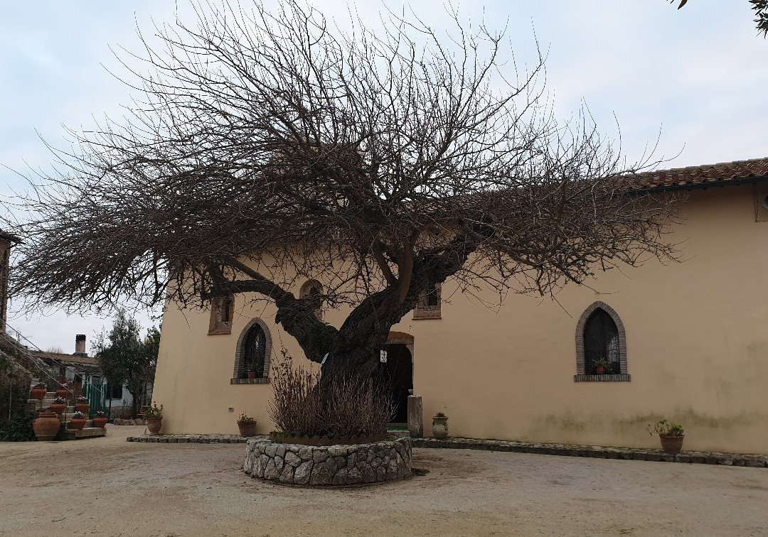 Chiesa della Madonna della Sorresca景点图片