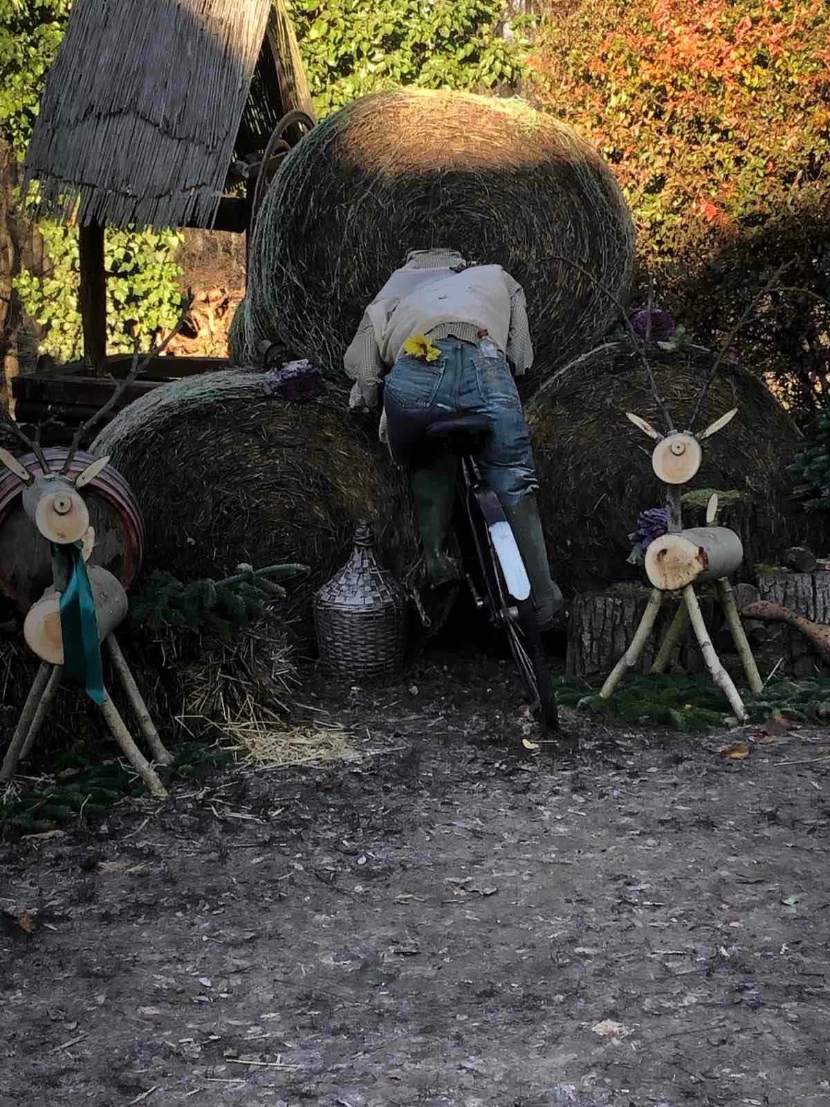 Fenyoharaszt Kastelyszallo-官方